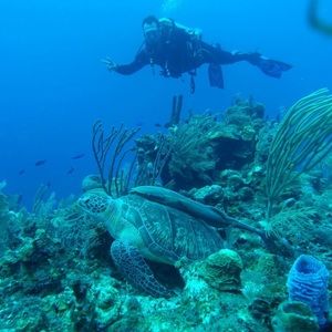 Meet your Posher, Marcelo